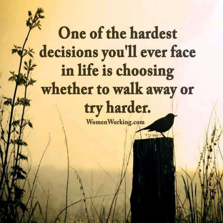 Quotes