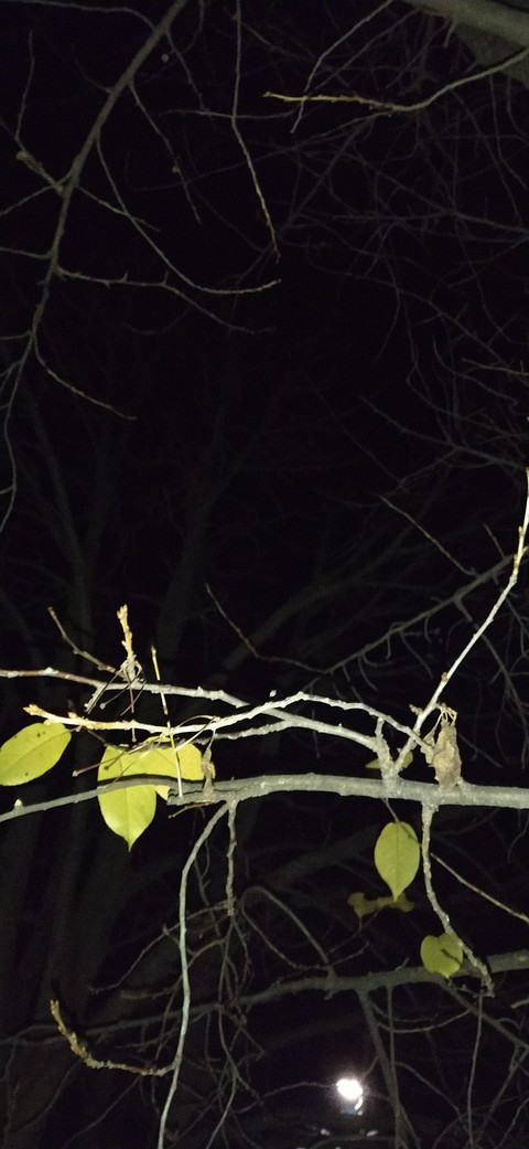 In the night