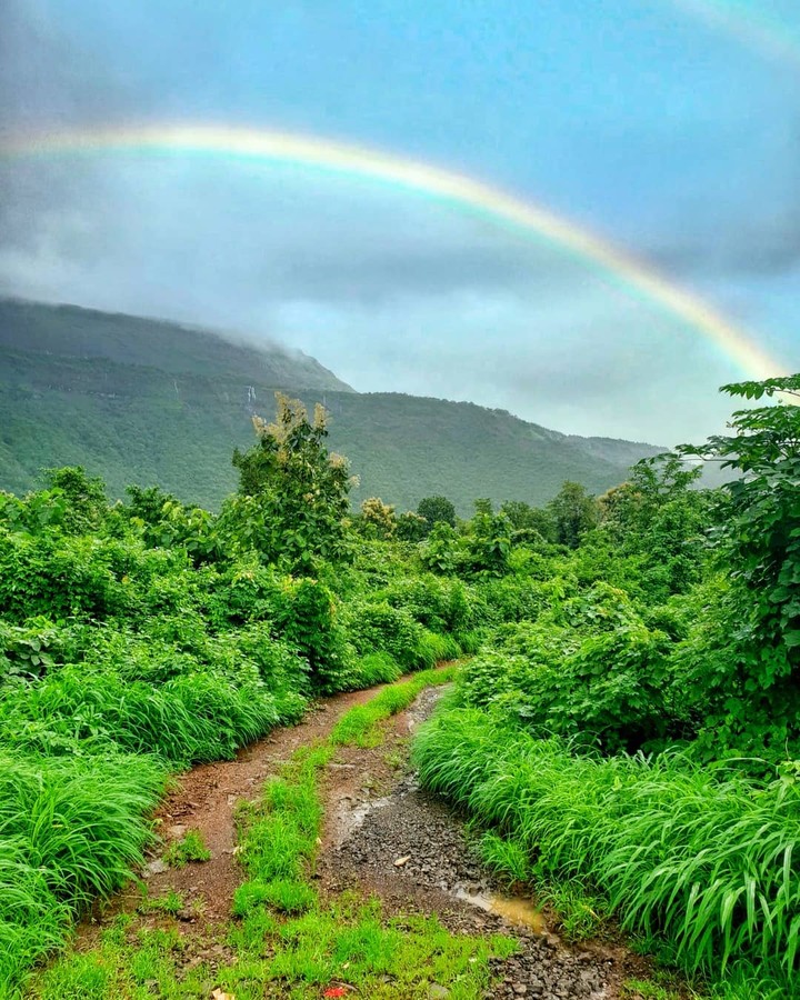 Green Nature