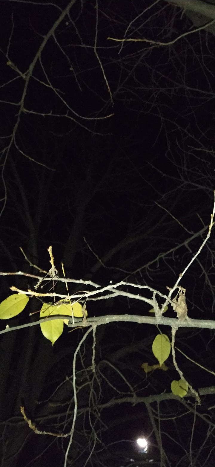 In the night