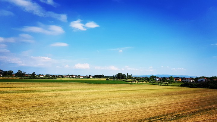 Toscana, Pisa