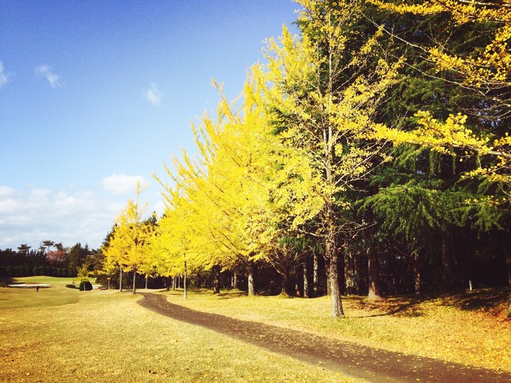 Autumn
