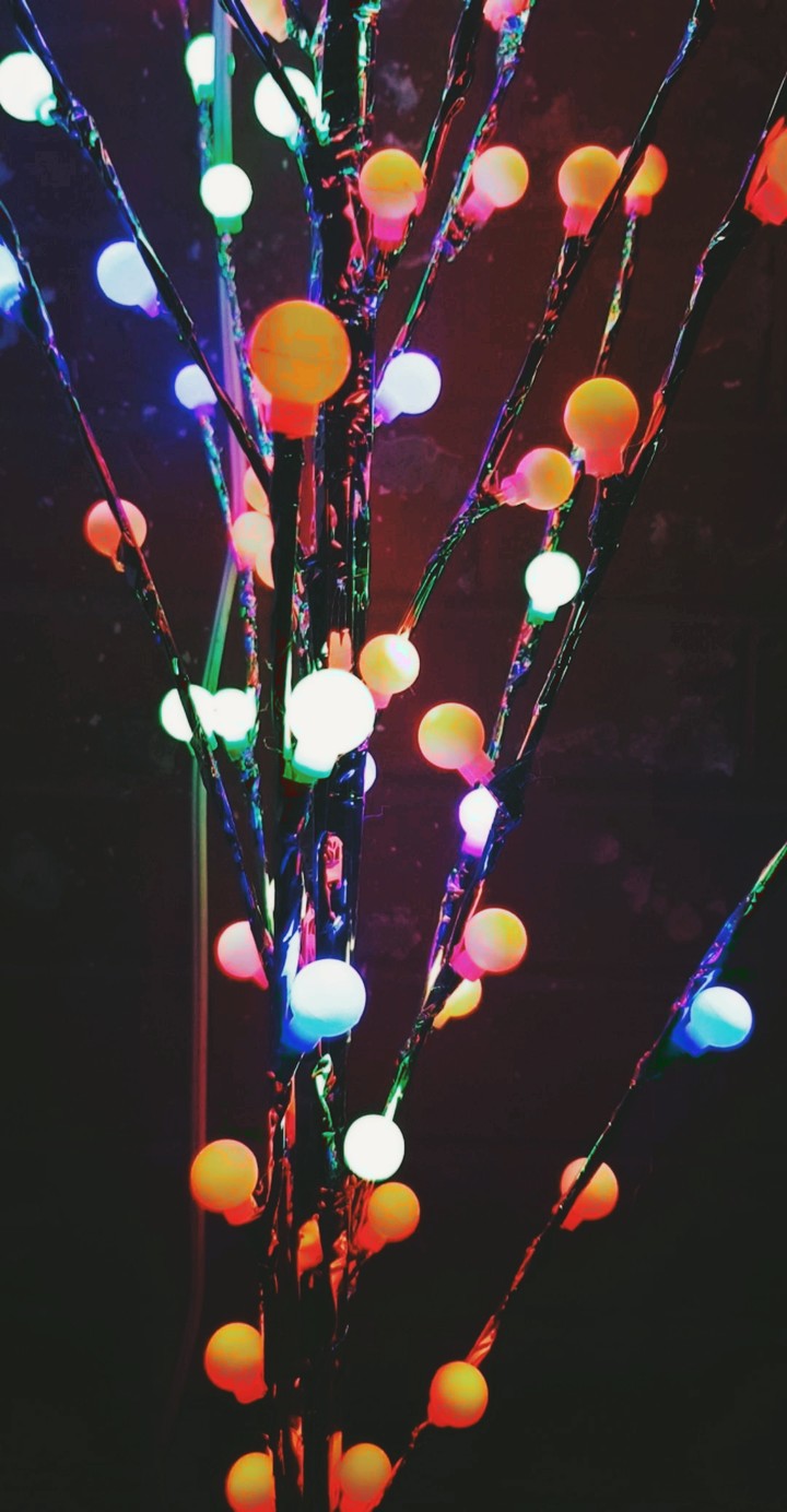 lights