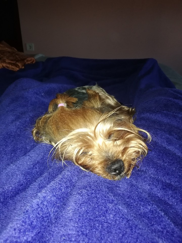 Sleeping cutie