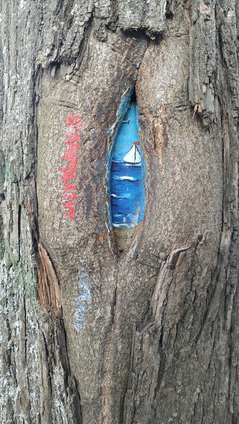 colour tree