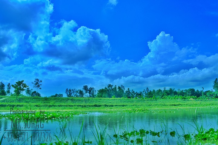 landscape