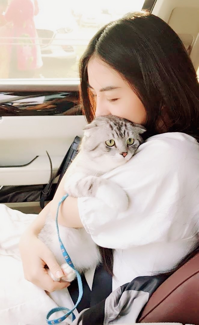 CAT_sama