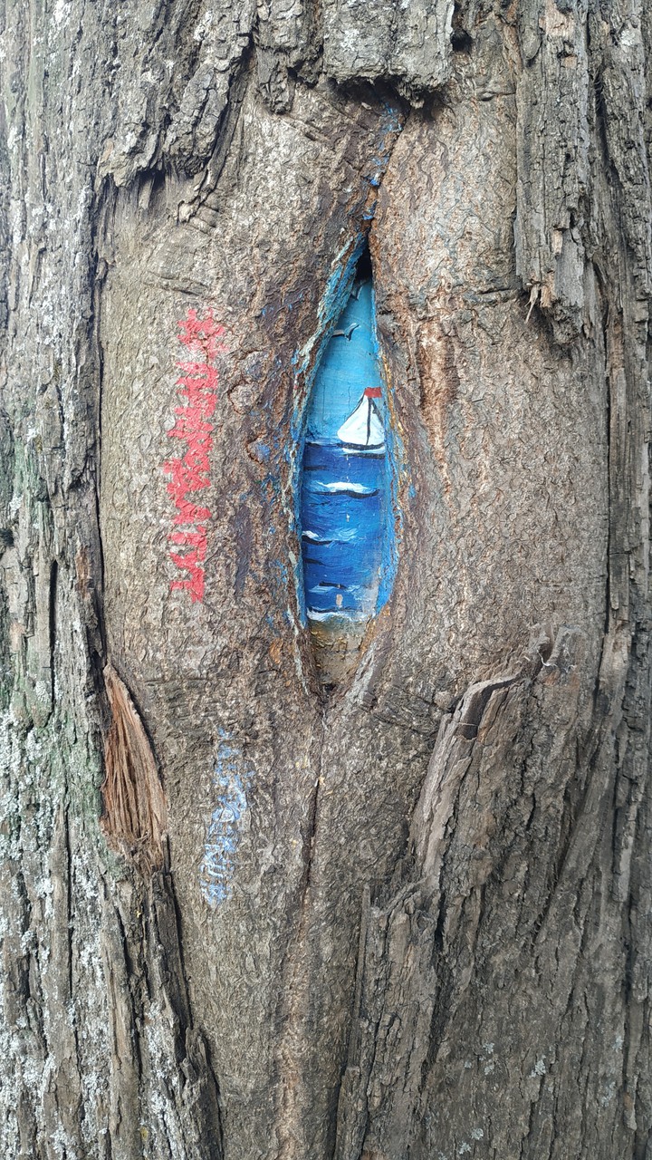 colour tree