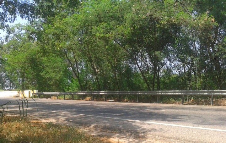 roadside