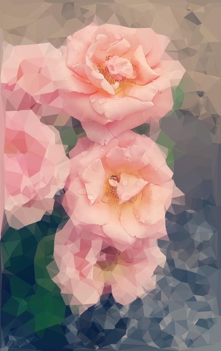 Pink Flower