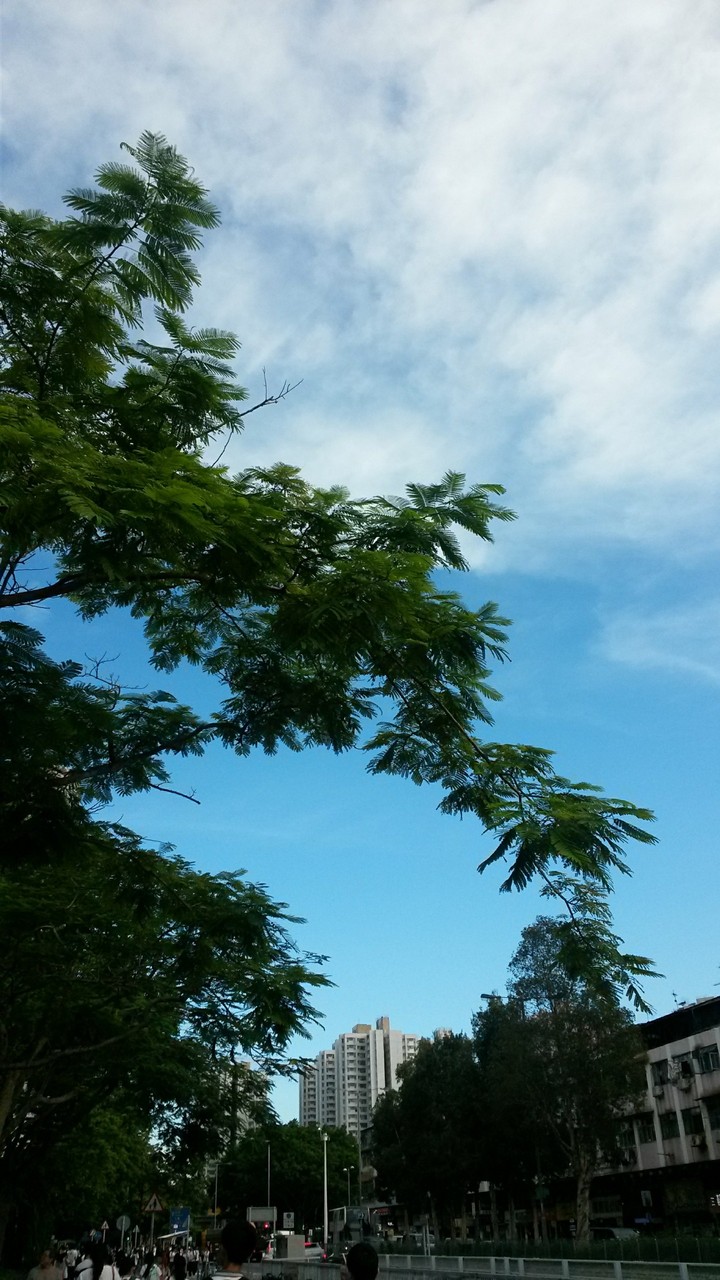 sky