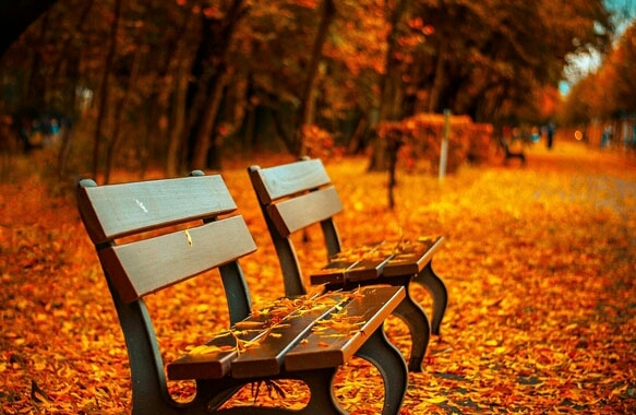 Autumn