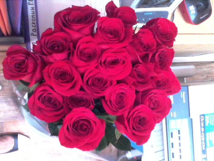 Roses