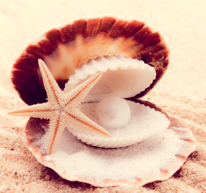 pearl & pearls