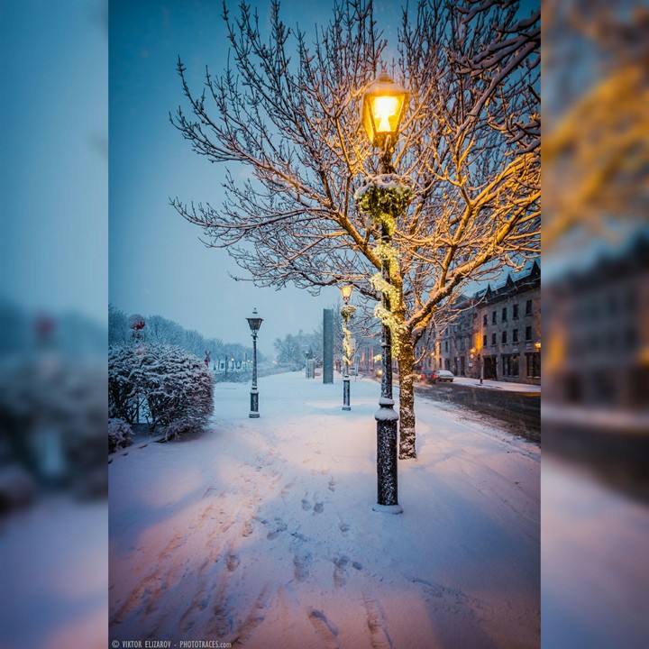 Winter
