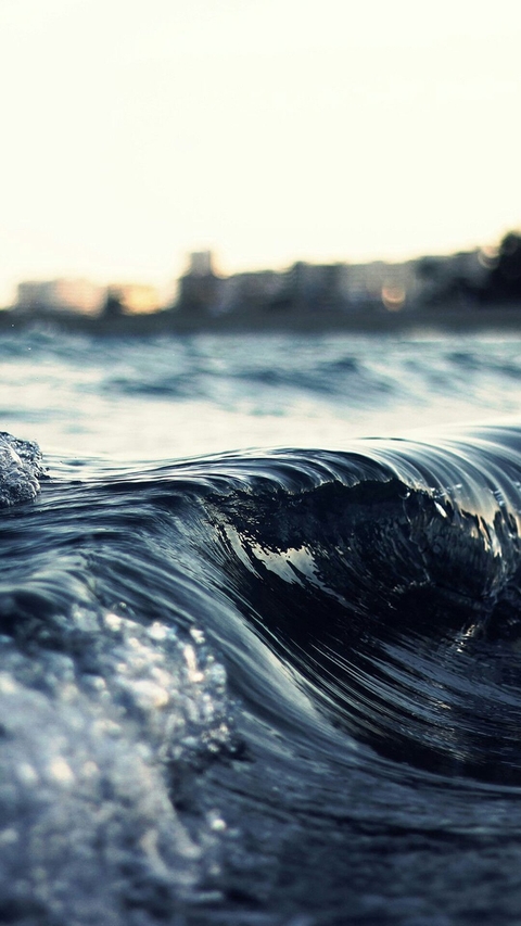 sea