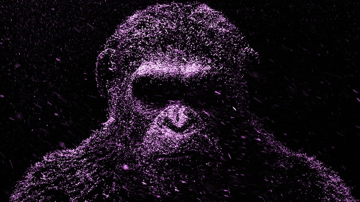 Apes