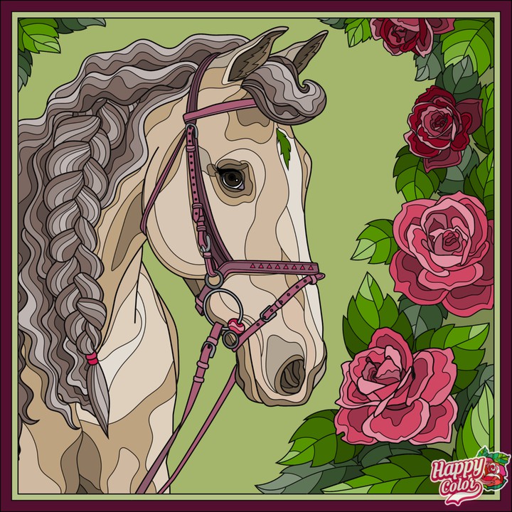 Cavalo
