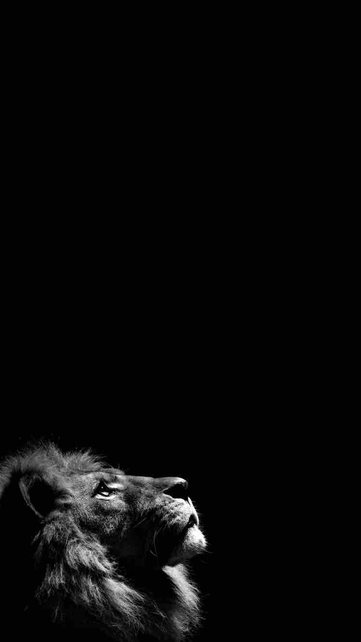 silence…….