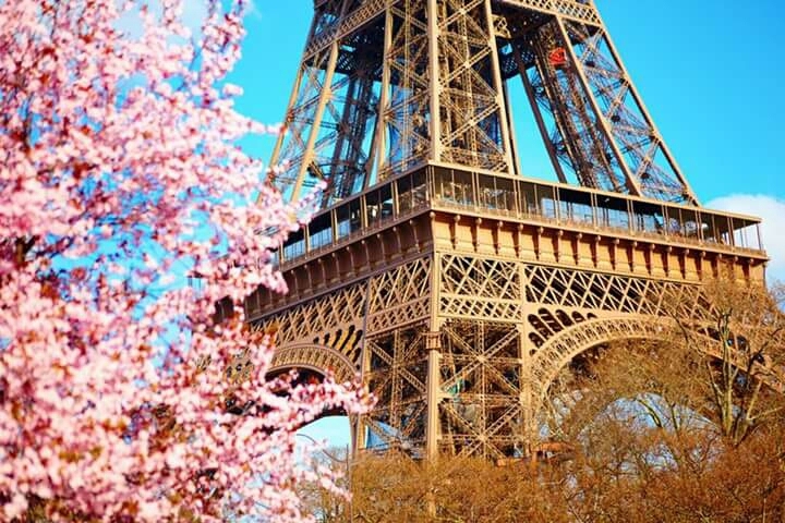 paris beauty