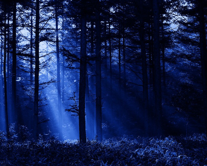 night