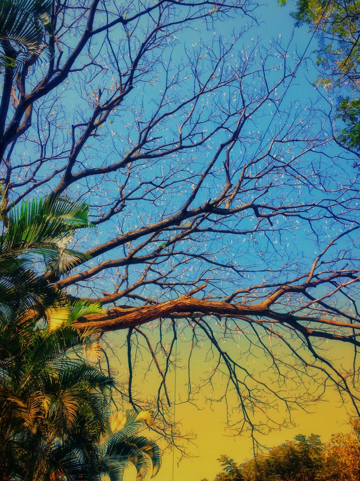 Spring season