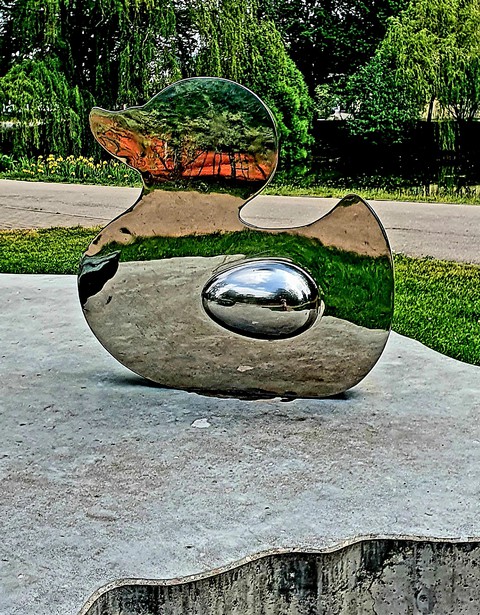 Mirror duck