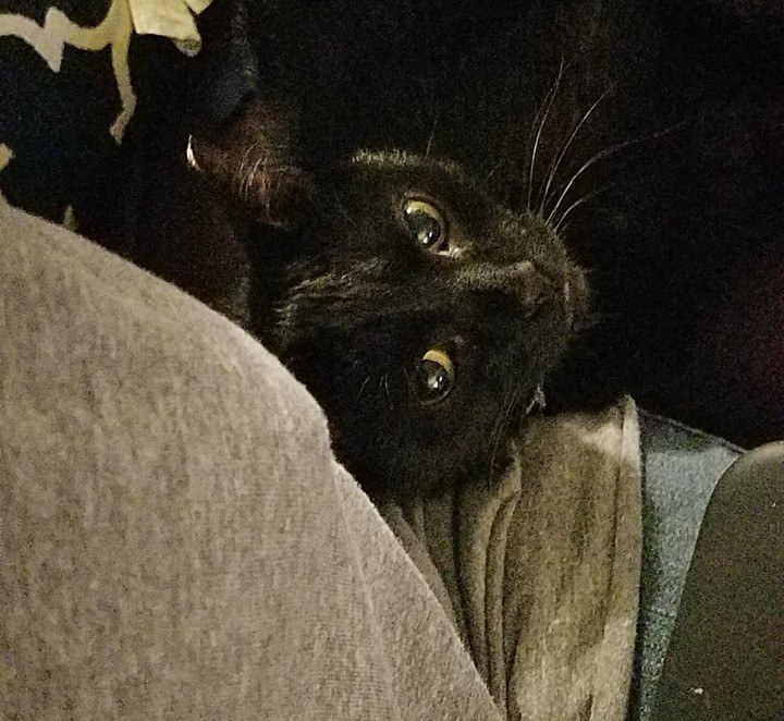 Naptime