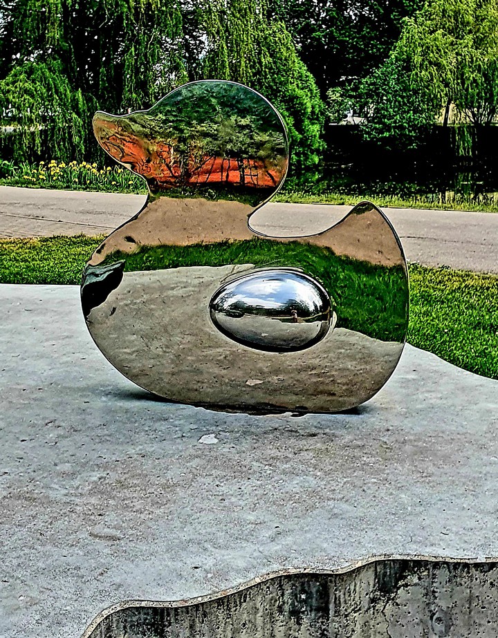 Mirror duck