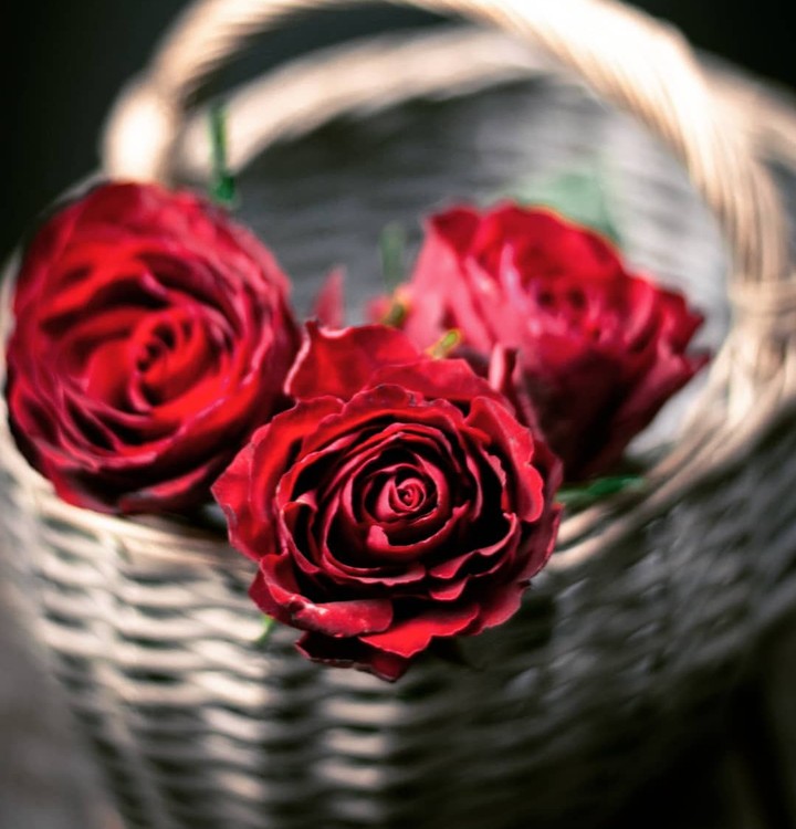 Red Rose & basket