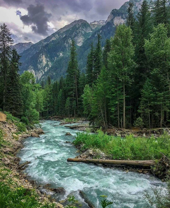 pakistan