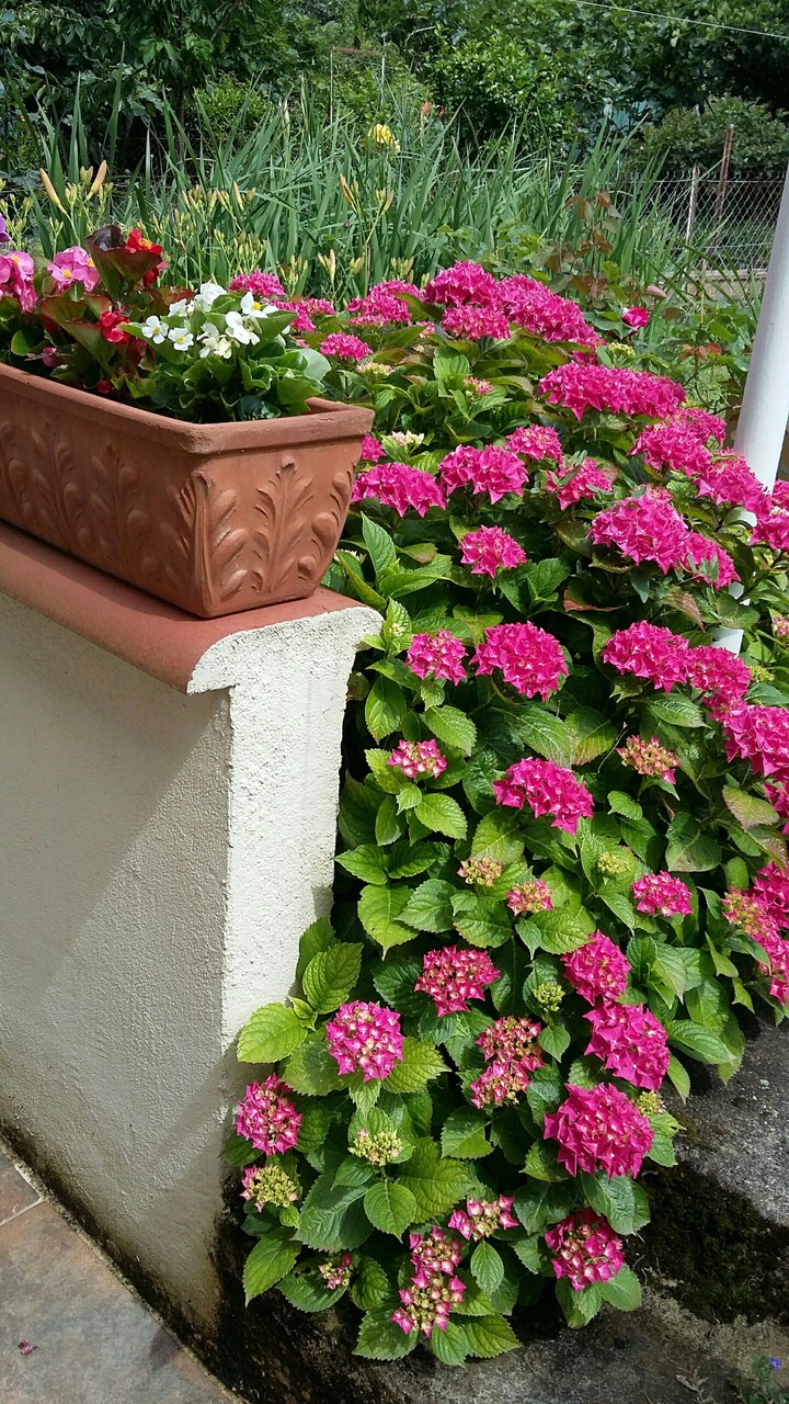 vive l'été!