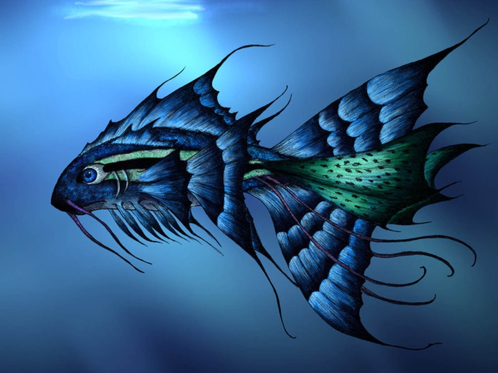cat fish