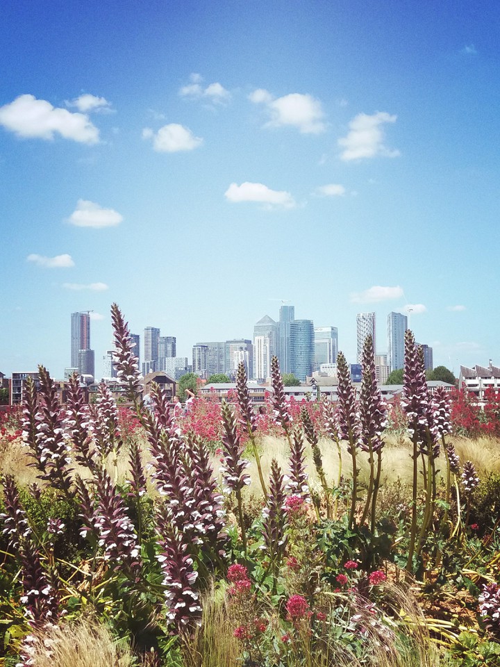 London today