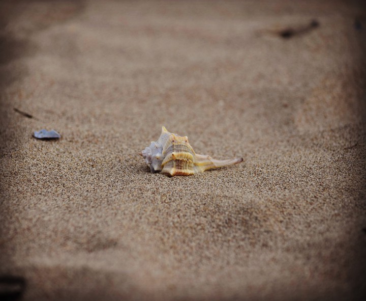 La bellezza della spiaggia