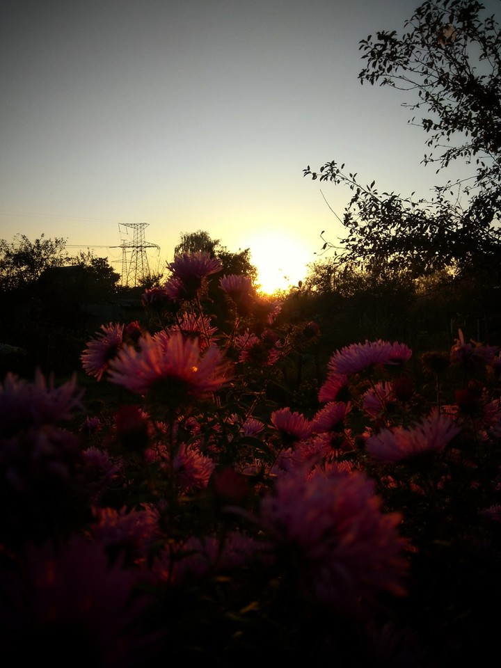 summer evening