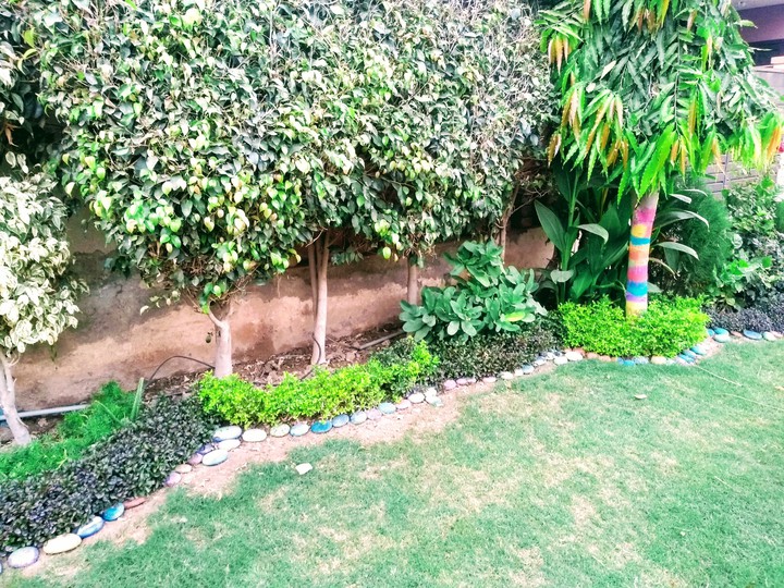 greenery