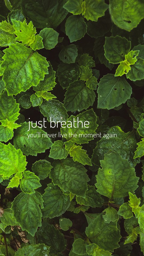 Inhale Exhale