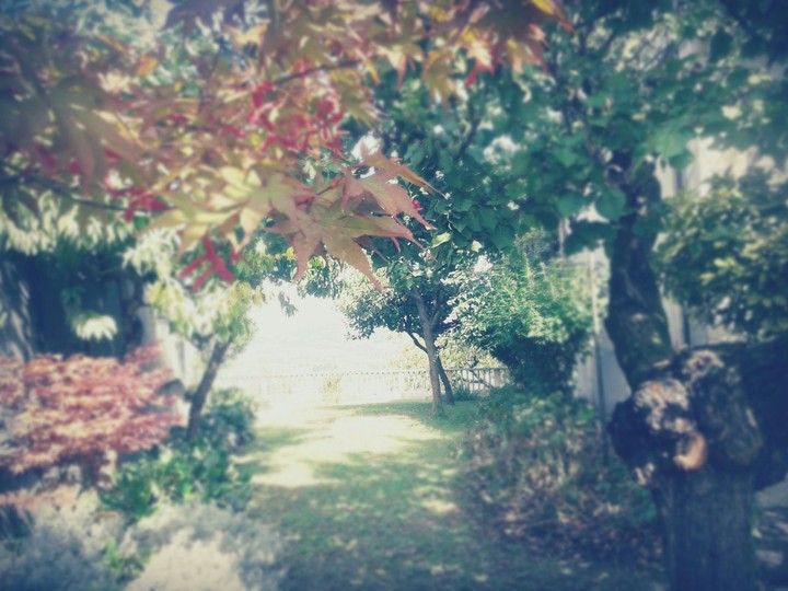 giardino a camagna