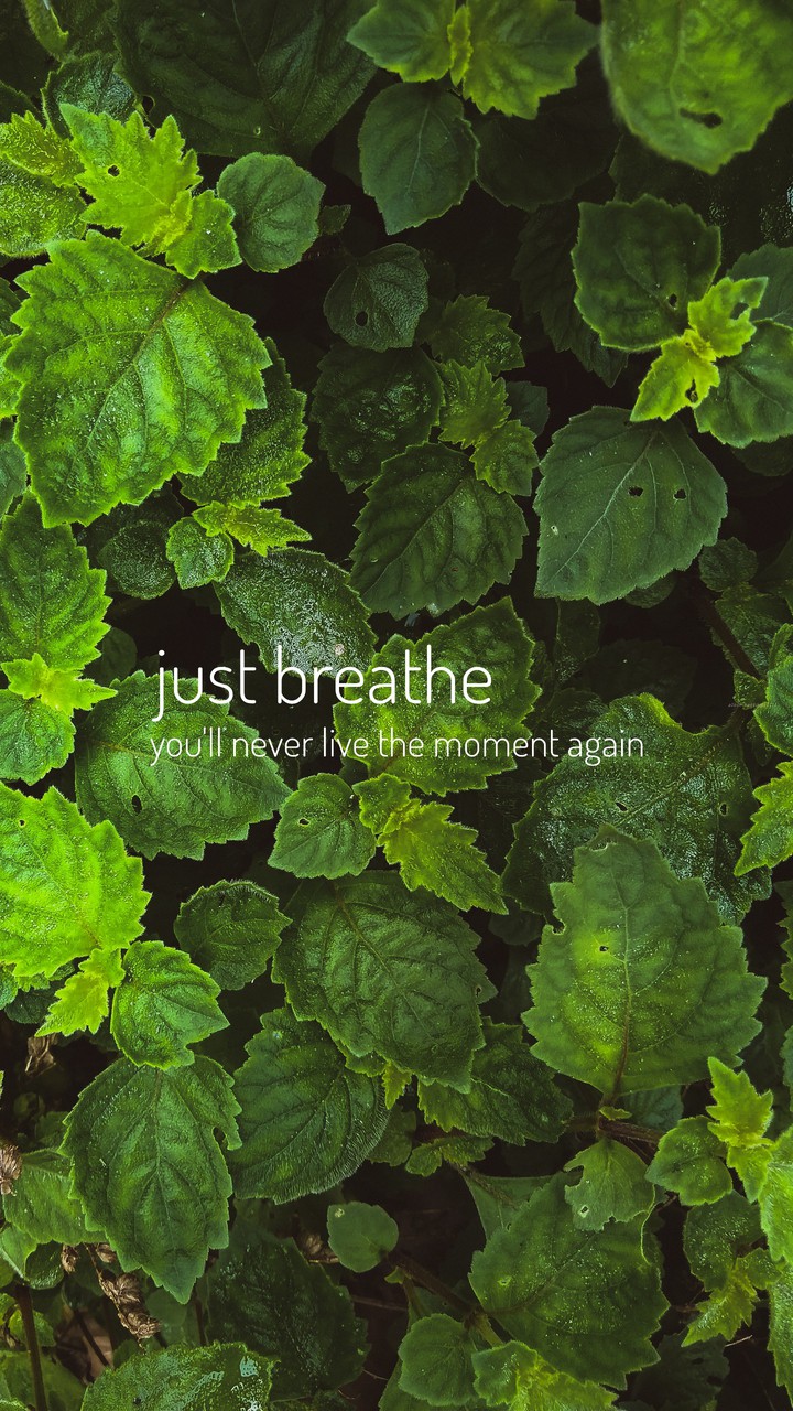 Inhale Exhale