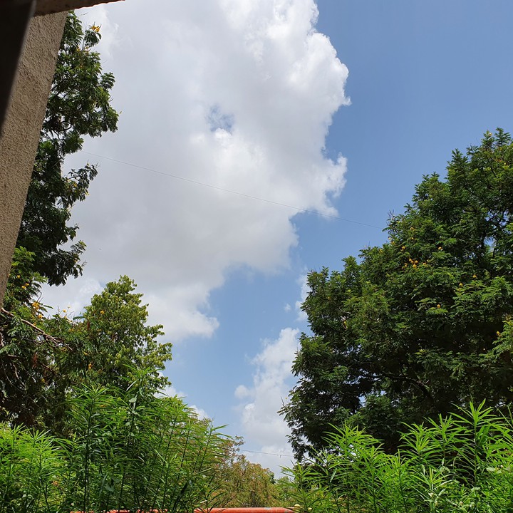 My house  near  garden  morning  nature .