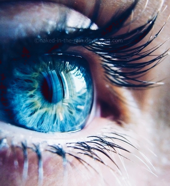 eyes