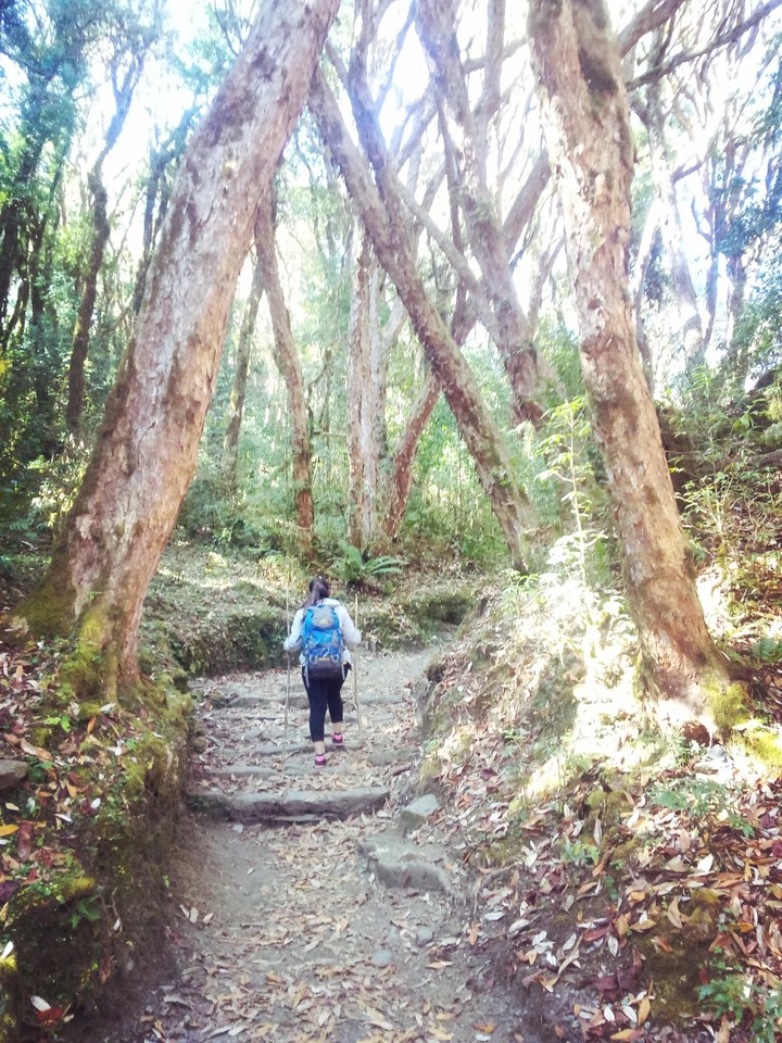 Trekking