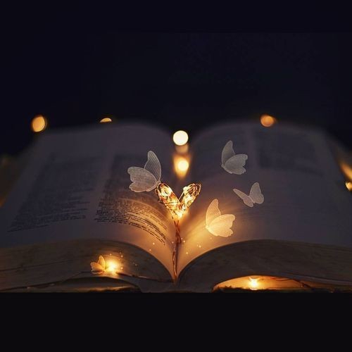Book