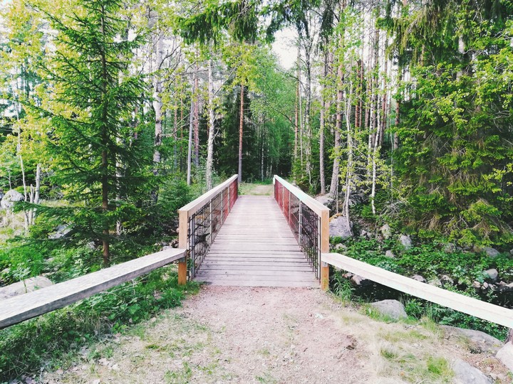 Bridge