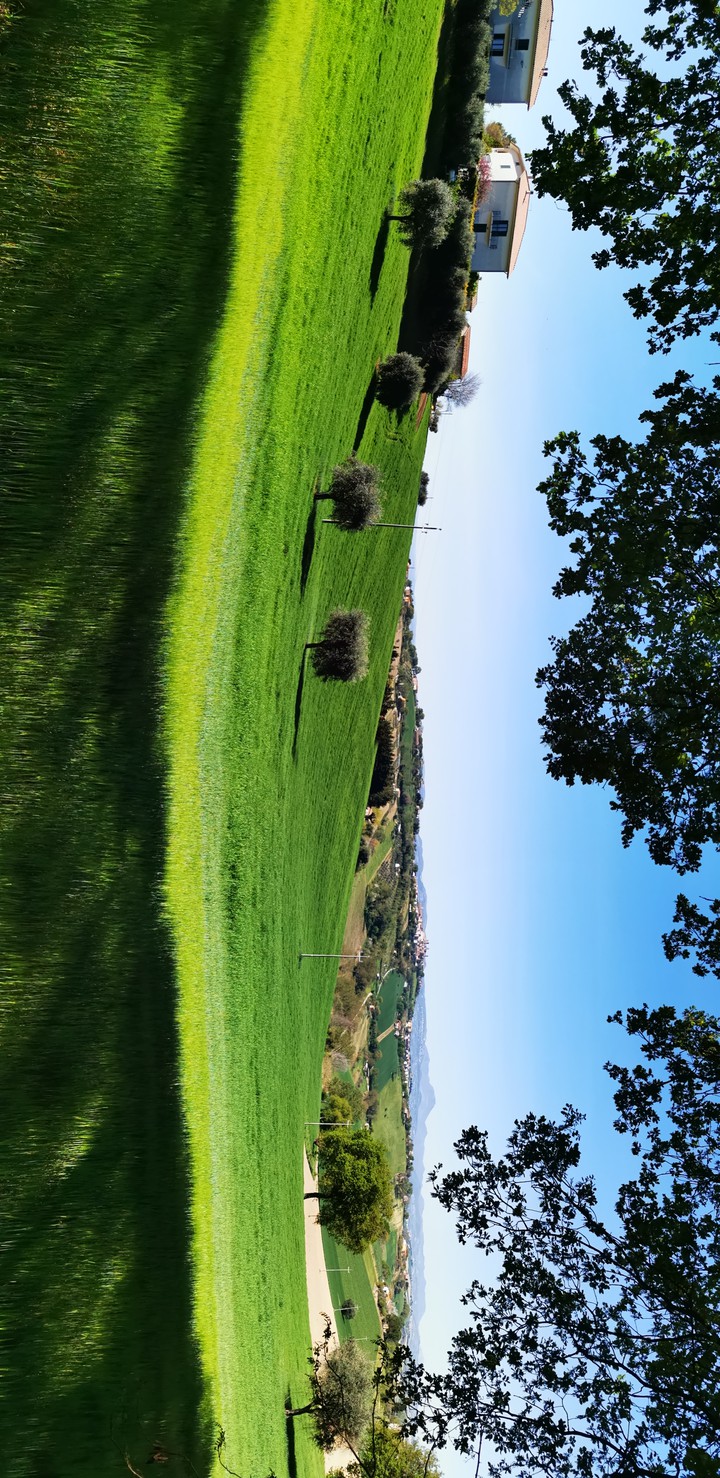My Land