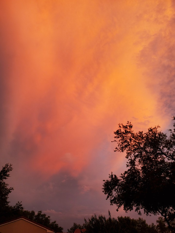 Orange Haze