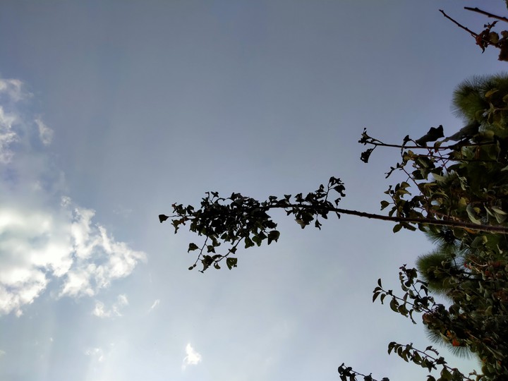 Sky