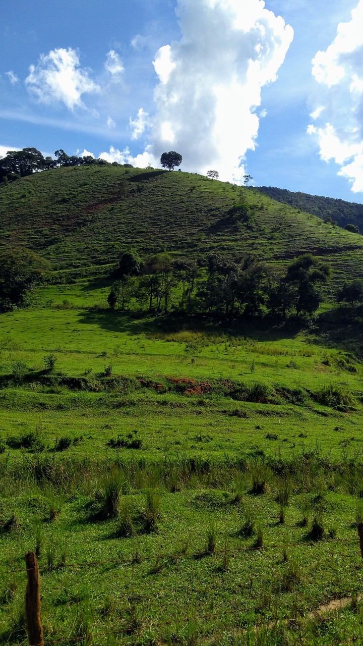 natureza