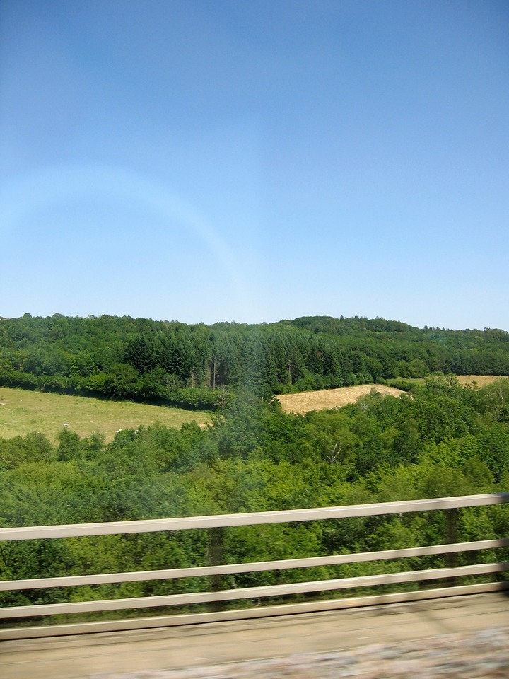 Scenics